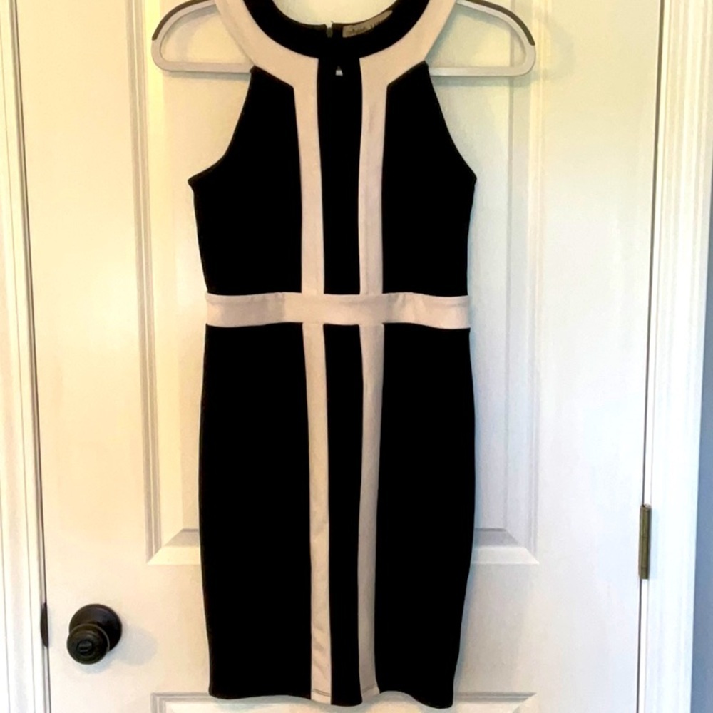 Absolutely Famous Black and White Sheath Mini Dress